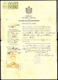 Ταξιδιωτικό έγγραφο του Ζαφείρη Βασιλείου εκδομένο από το Προξενείο της Ελλάδας στο Seattle των Ηνωμένων Πολιτειών Αμερικής, 1919