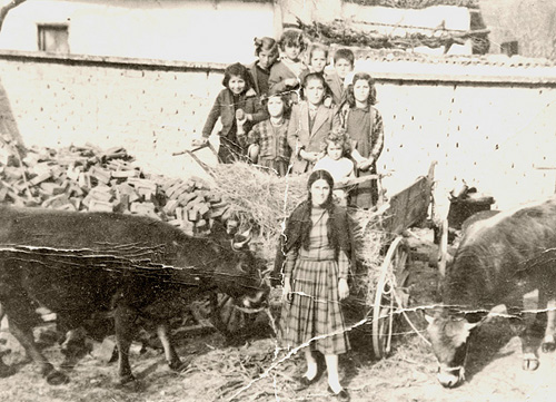 Παιδιά του Μαυρόλοφου πάνω στη καρότσα μιας βοϊδάμαξας